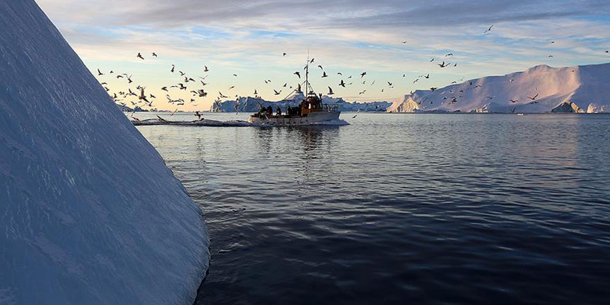 Grönland'da tevafuken 'dünyanın en kuzey kara parçası' keşfedildi