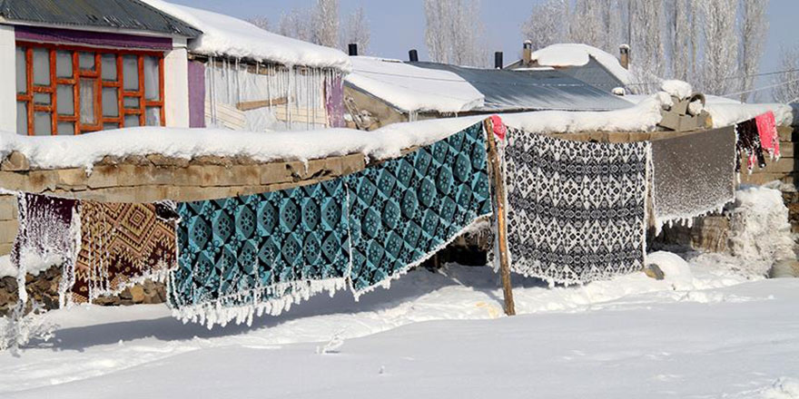 Çamaşırlar ve tabelalar dondu, ağaçlar buz tuttu
