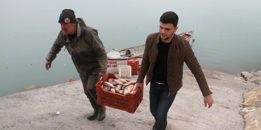 Beyşehir Gölü balıkçılarının yeni kısmeti: Çin sazanı