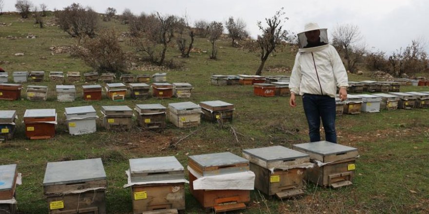 Genç Çiftçi Projesi ile hayat kuran Siirtli gençler