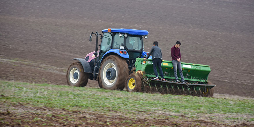 Almanya 'glifosat' kullanımını yasaklayacak