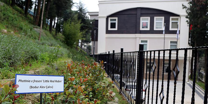 'Modern şifahane' gün sayıyor