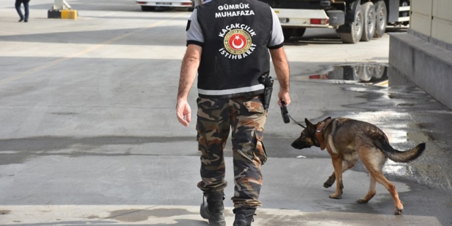 Gümrük Muhafaza kaçakçılığa geçit vermiyor