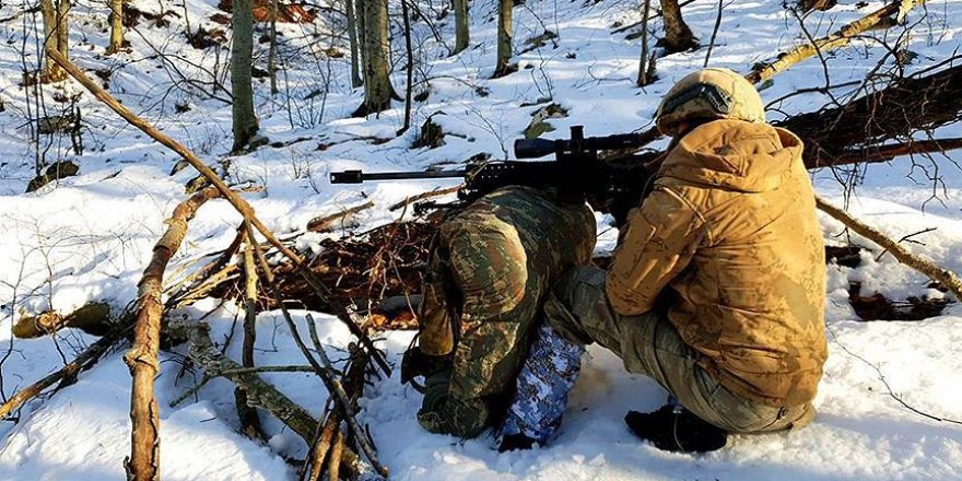 Amanoslar'da terör yuvaların baskın