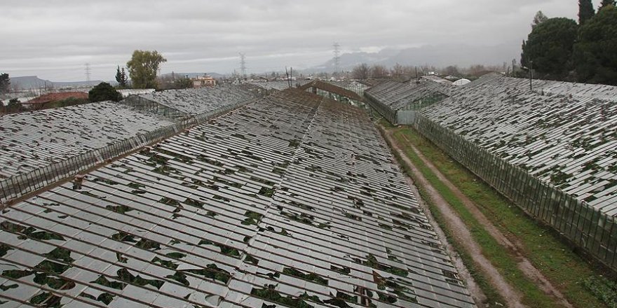 Antalya'da büyük boyutta sera hasarı