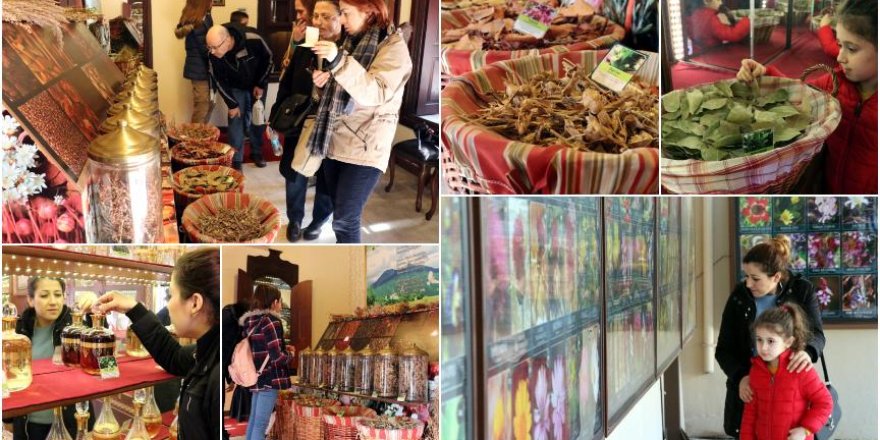 Hatay'daki bitki müzesine yoğun ilgi