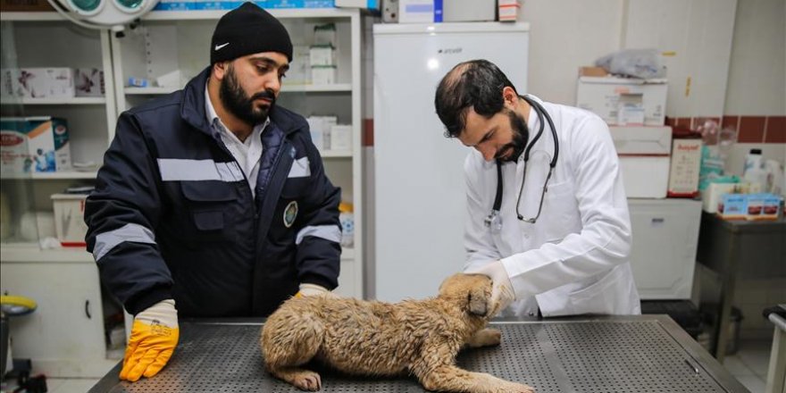 Diyarbakır'da acil vakalar için hasta ambulansı