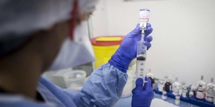 Moğolistan'da domuz gribi vakaları