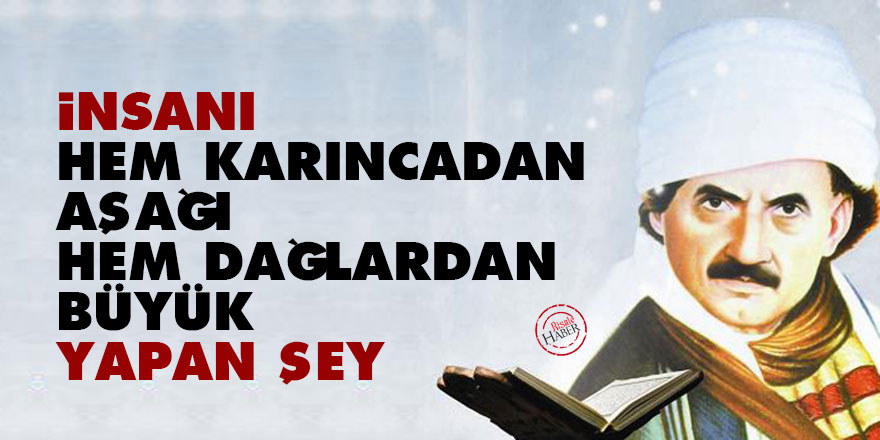 Bediüzzaman: İnsanı hem karıncadan aşağı, hem dağlardan büyük yapan şey