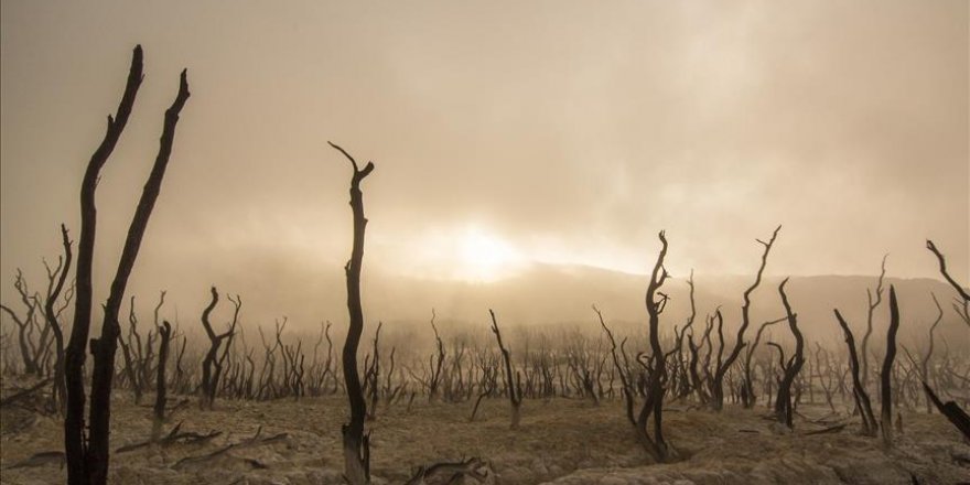 Küresel ısınma Kızılderililerin öldürülmesi yüzünden oldu