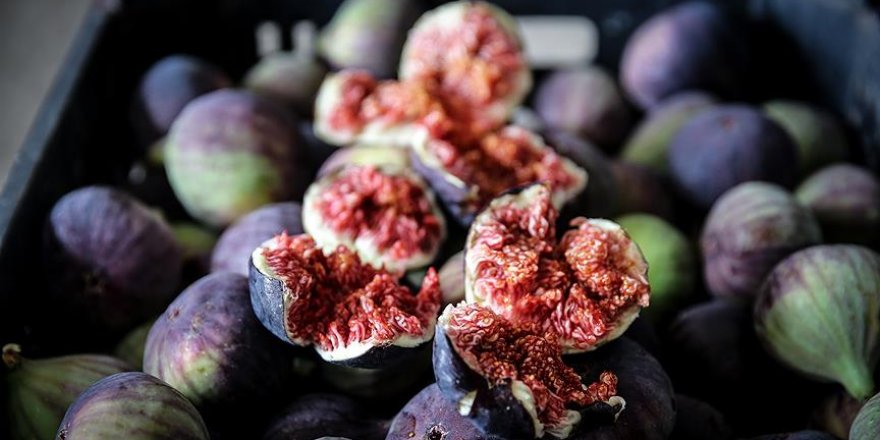 Bursa'nın meşhur 'Siyah İncir'i tescillendi