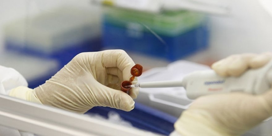 Nijerya'da kanserden son 1 yılda 41 bin kişi öldü