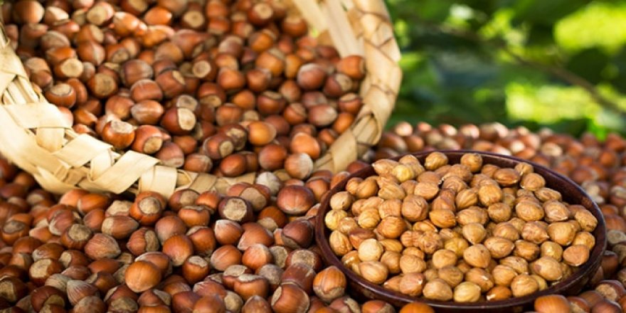 Türkiye'nin önemli gelir kalemlerinden biri de fındık