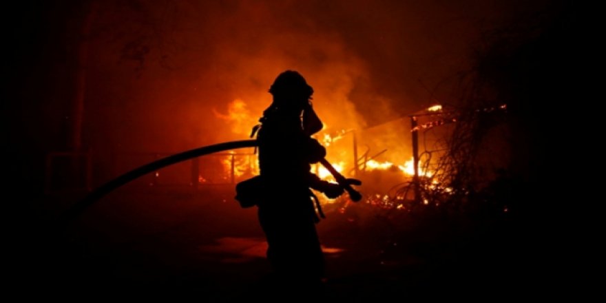 Yeni Zelanda'daki orman yangınında acil durum ilan edildi