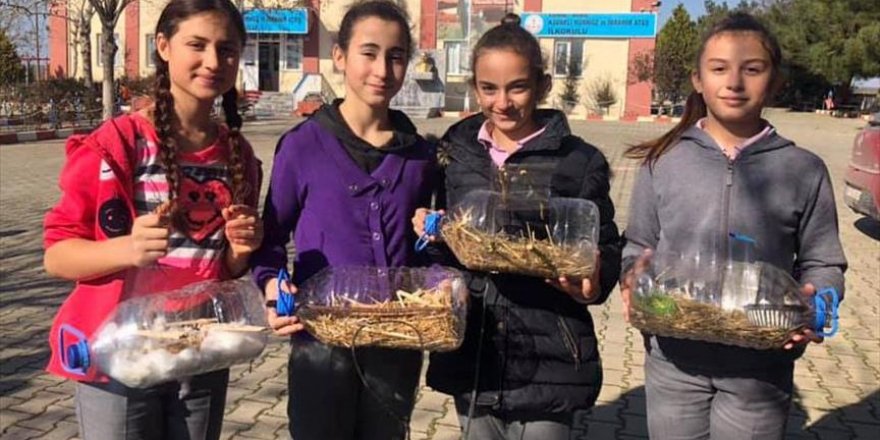 Kuşlar 'merhamet yuvalarında' üşümeyecek