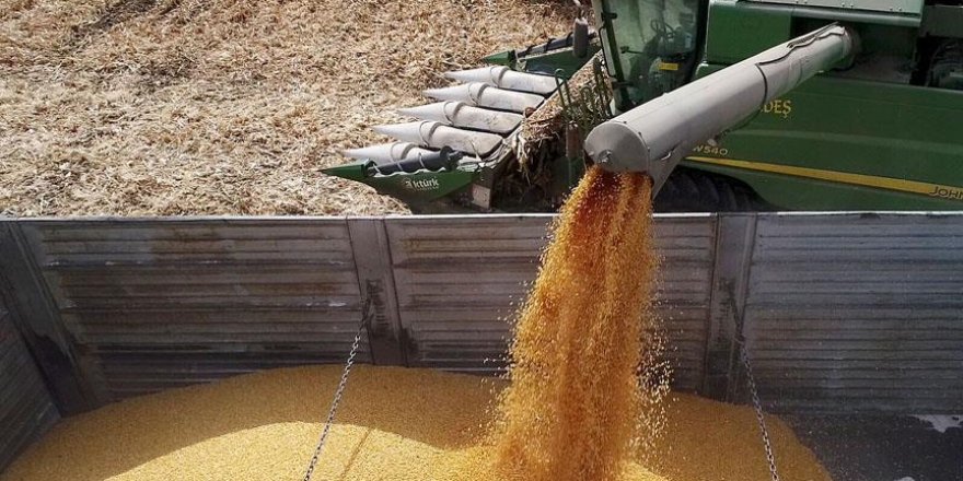 Yem sektörü 2019'u 'mevcut durumu koruma yılı' olarak görüyor