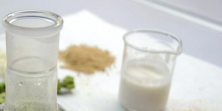 Kainat Eczanesi'nden Kefirin şifa olduğu hastalıklar