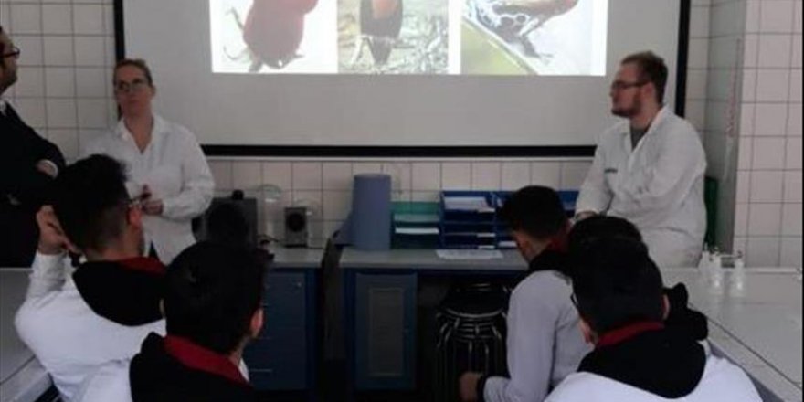 Samsunlu öğrencilerin stajı Avrupa'da