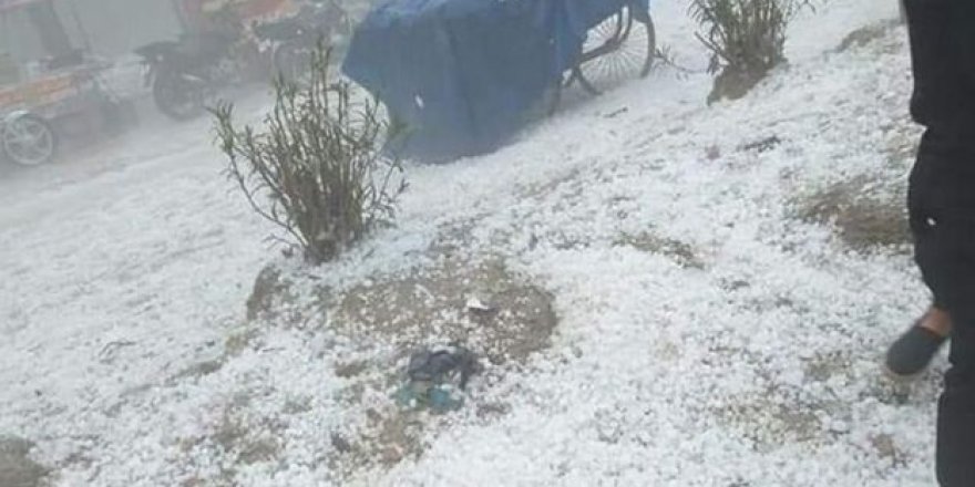 Hindistan'da fırtına hayatı felç etti