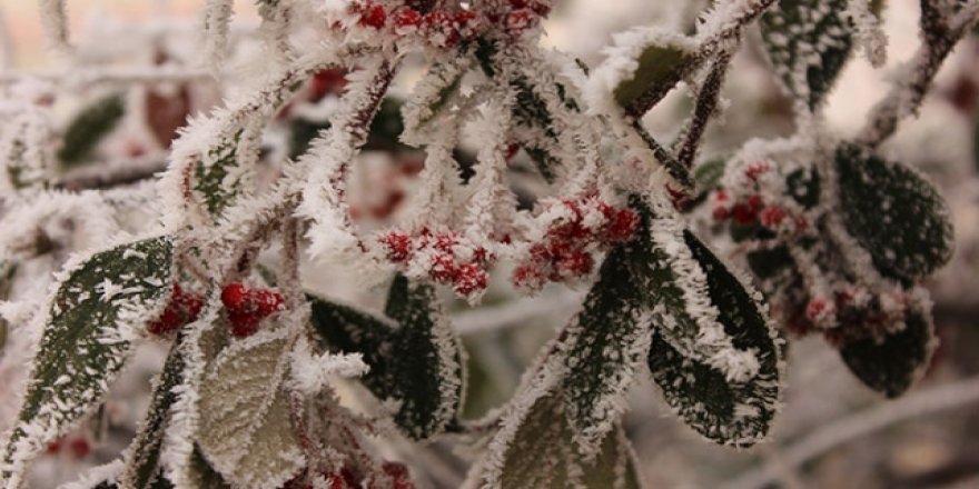 4 kente buzlanma ve çığ uyarısı