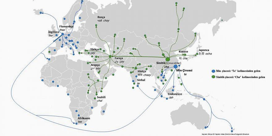 Çay'ın dünyada sadece iki ismi var: Çay ve tea