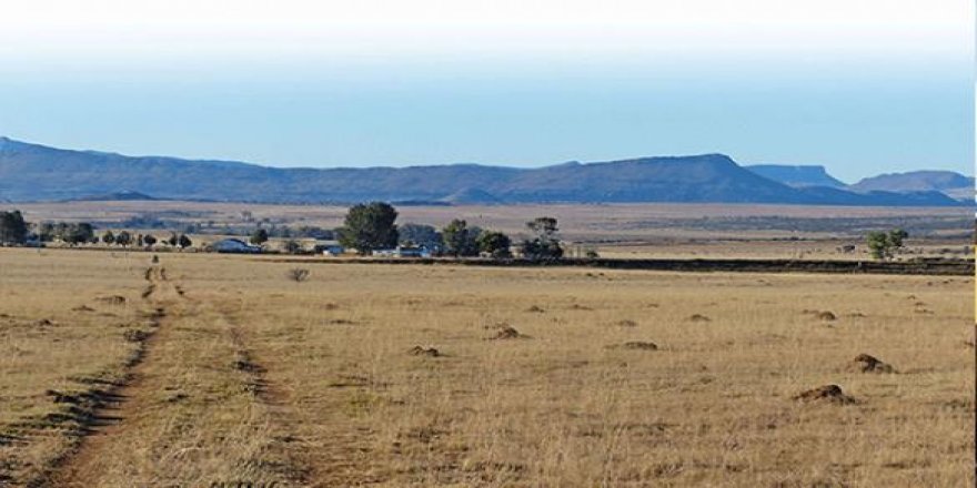 Güney Afrika'da toprak reformu tartışılıyor