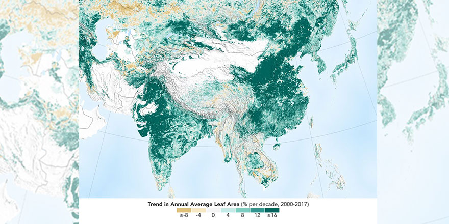 NASA'dan güzel haber: Dünya genelinde yeşil alan oranı arttı