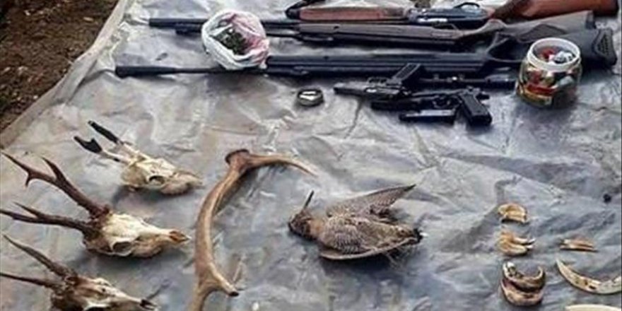 Bartın'da yakalanan kaçak avcıya ceza