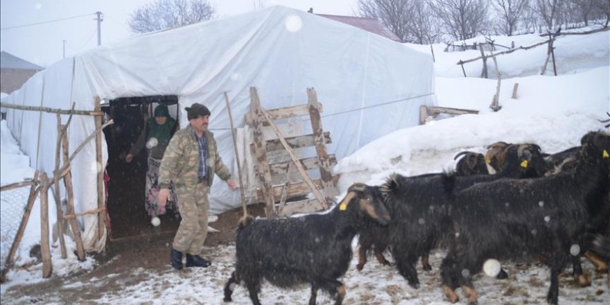 Besicilerin hayatı 12 ay naylon çadırda geçiyor