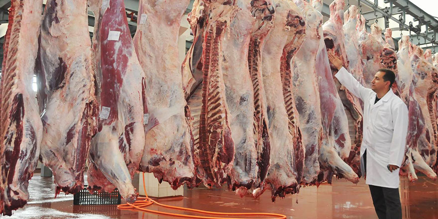 Et yemeyen veganlarda kemik kırılması yüzde 43 daha fazla