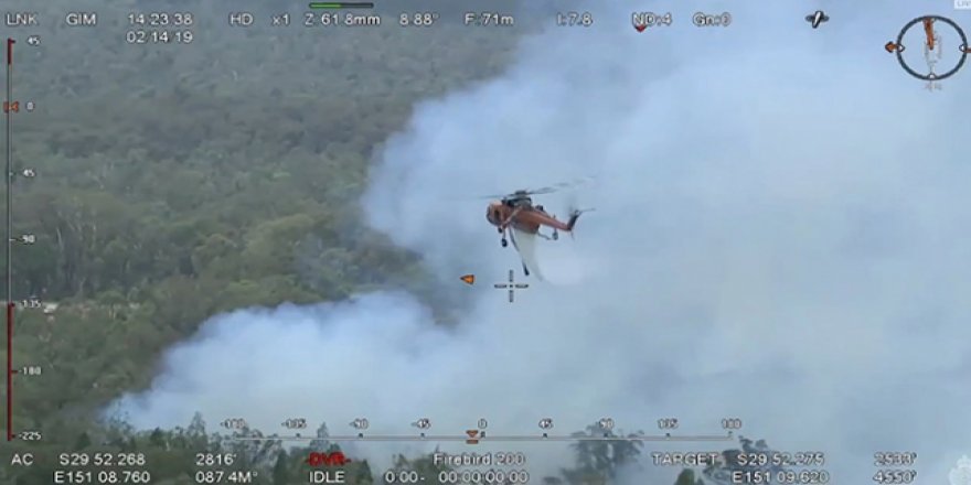 Avustralya’daki yangında binlerce hektarlık alan zarar gördü