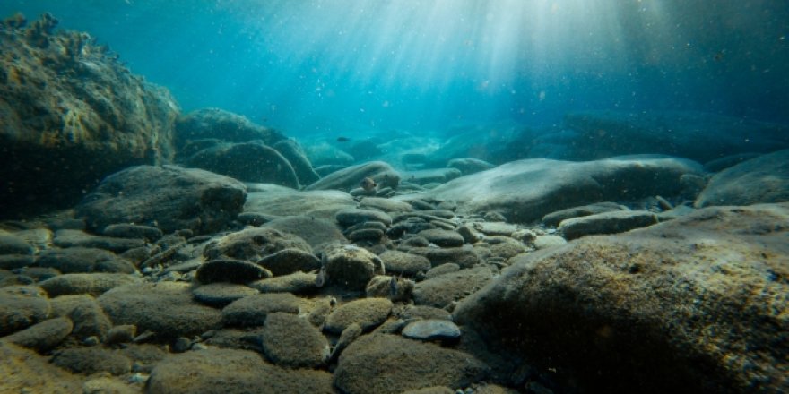 Okyanuslar 21. yüzyılın sonuna kadar renk değiştirecek