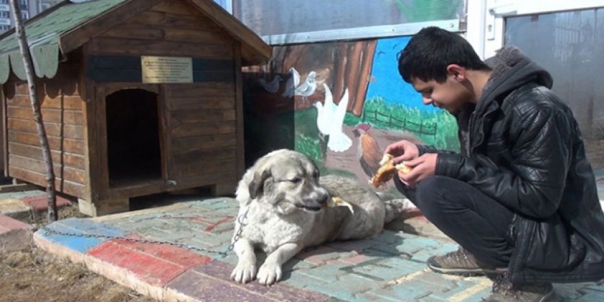 Ölmek üzereyken bulundu, engellilerin dostu oldu