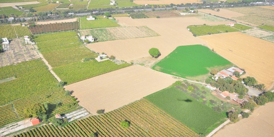 Çiftçilere 200 milyon metrekare Hazine arazisi kiraya verilecek