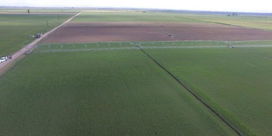 7 ova koruma altına alındı