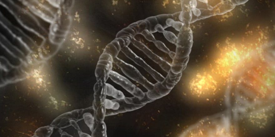 'Genetik hastalıkları düzeltebilmek artık hayal olmanın ötesinde'