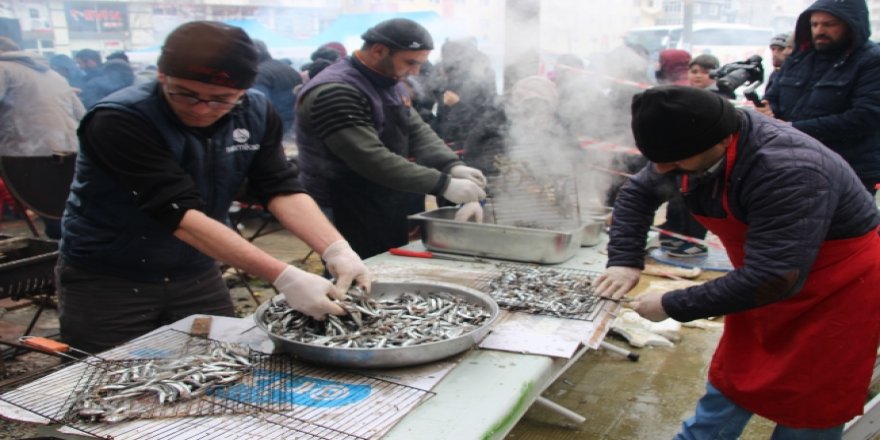 Tekirdağ hamsiye doydu