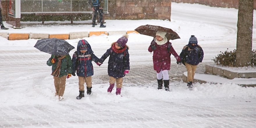 Erzincan'da okullar yarın tatil edildi
