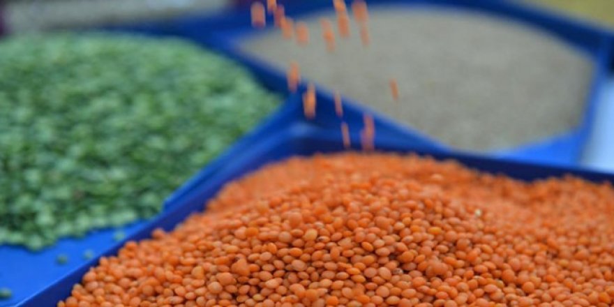 İstanbul'da tanzim satış noktalarında bakliyat satışı başladı