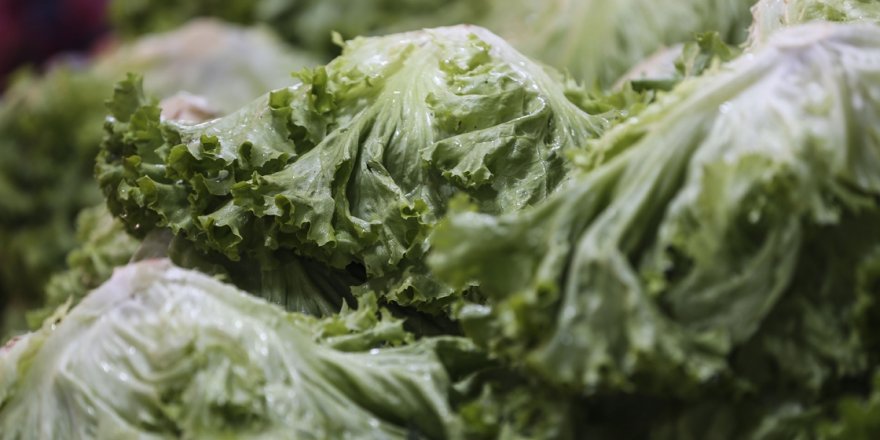 Şubatın zam şampiyonu kıvırcık