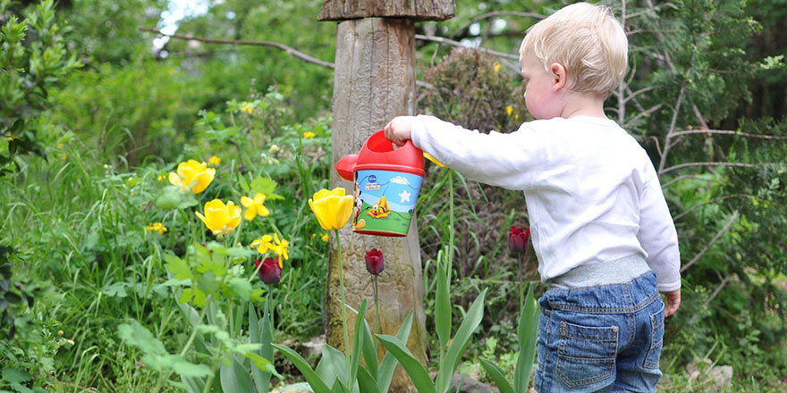 Yeşil ile büyüyen çocuğun piskolojisi farklı oluyor