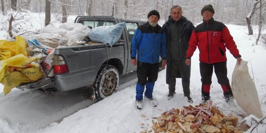 Tabiattaki hayvanlar için 7 yıldır ekmek topluyorlar