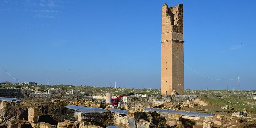'12 aylık kazılarla Harran'ın kalıcı listeye girmesi kolaylaşacak'