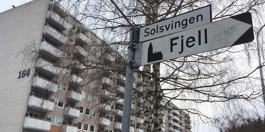 Norveç'te Mevlana sokağı teklifi toplumu ikiye böldü