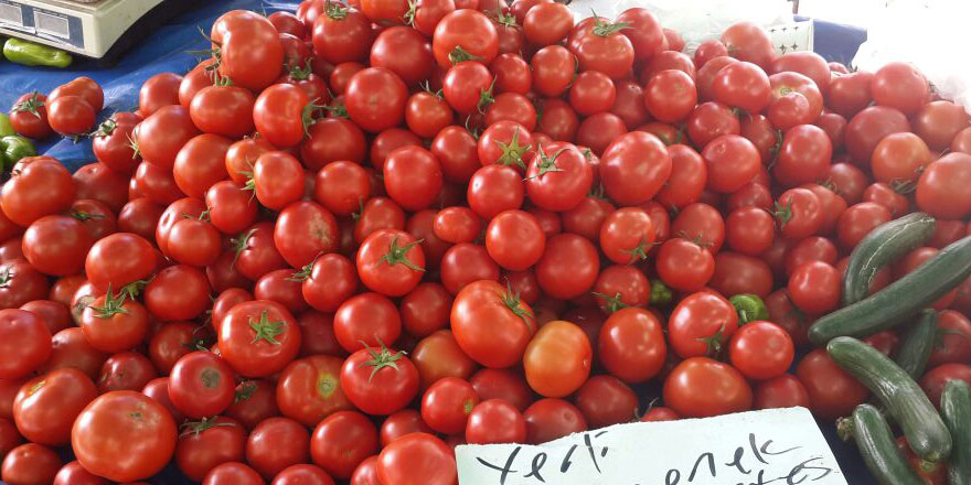 57 ülke Türkiye domatesi yiyor