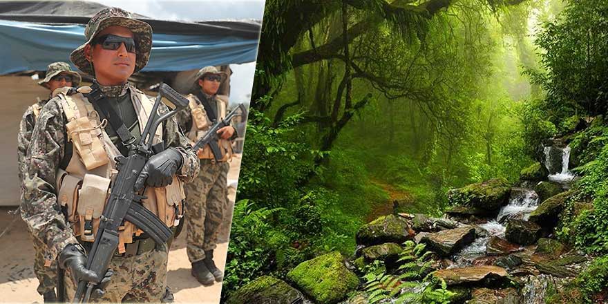 İnsanın tahribi bitmeyince Amazon ormanlarını asker koruyacak