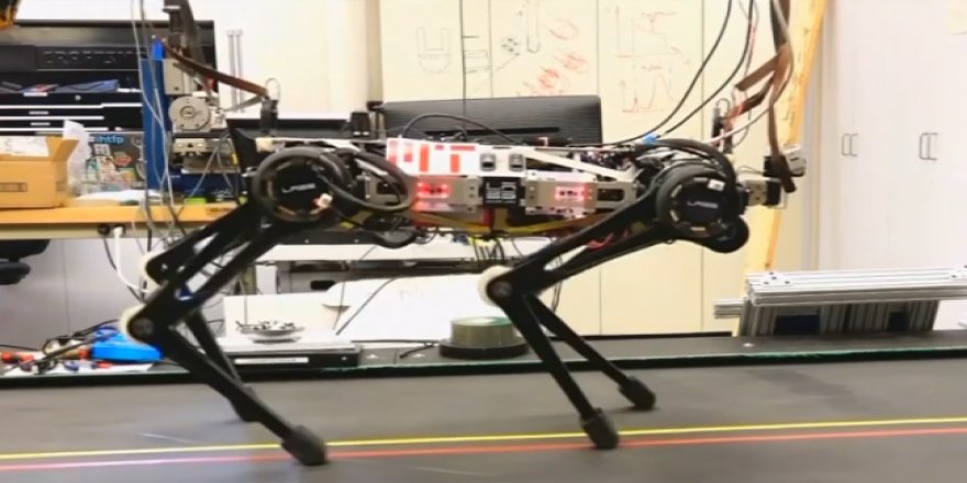 Ters takla atan "robot çita"