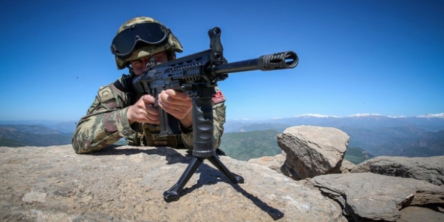 Siirt kırsalında terörist temizliği