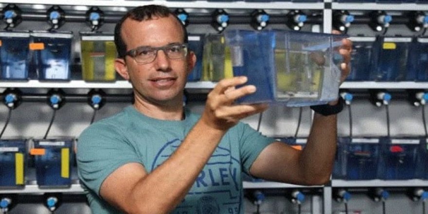 Beynimize yaptırılan bu hareket tam bir mucize