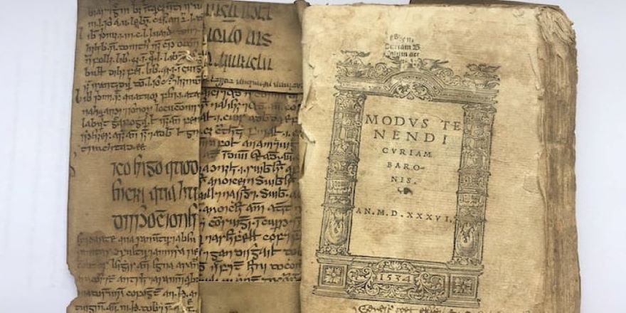 İbni Sina’nın 15. yüzyıldan kalma Tıbbın Kanunu eserinin İrlanda diline çevirisi bulundu